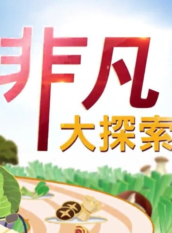 真实约啪高颜值美女做爱完美露脸高颜值女神臣服于胯下爽炸 - 黑丝制服